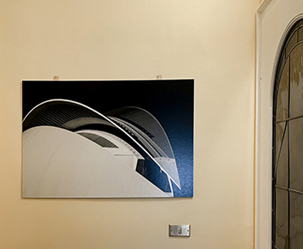 show-room-baffi_0002_the-fish-1