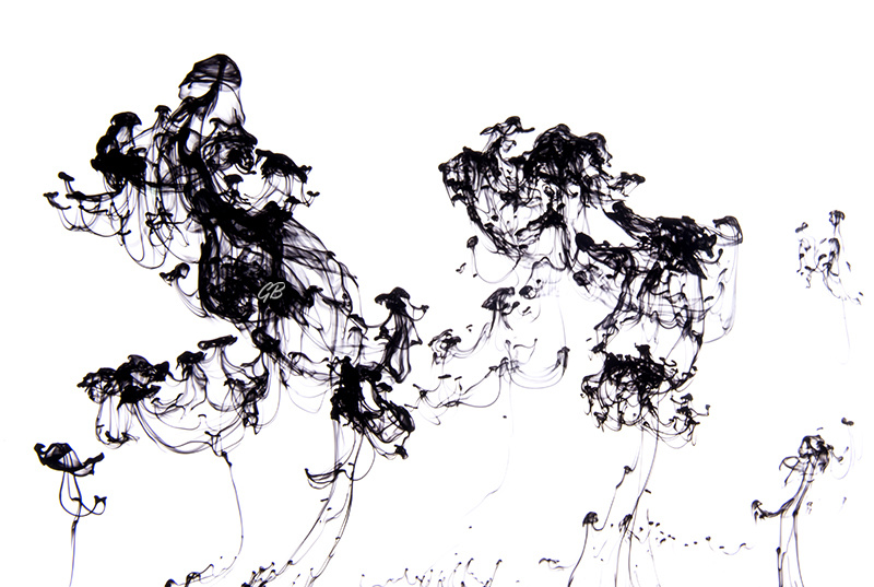 Dancers in the white0