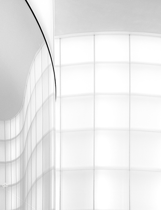 the thin black line0